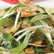 Mountain-bread-munchies-with-Asian-green-salad- showing-bok-choy-bean-sprouts-and-peanuts.