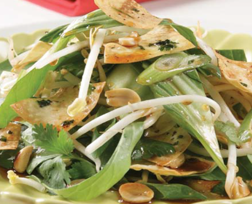 Mountain-bread-munchies-with-Asian-green-salad- showing-bok-choy-bean-sprouts-and-peanuts.